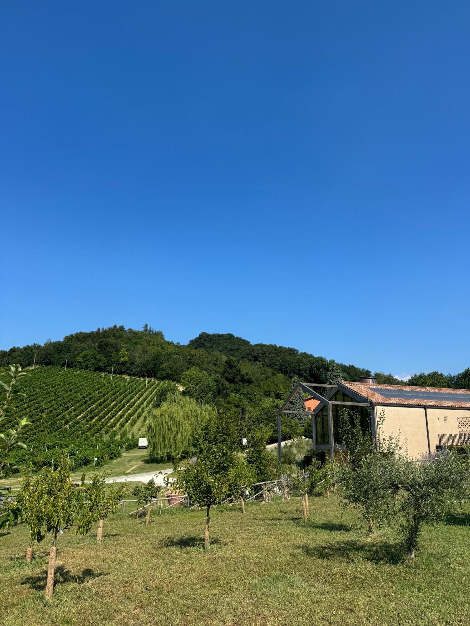 Monteveglio コルテ ダイボヴィラ エクステリア 写真