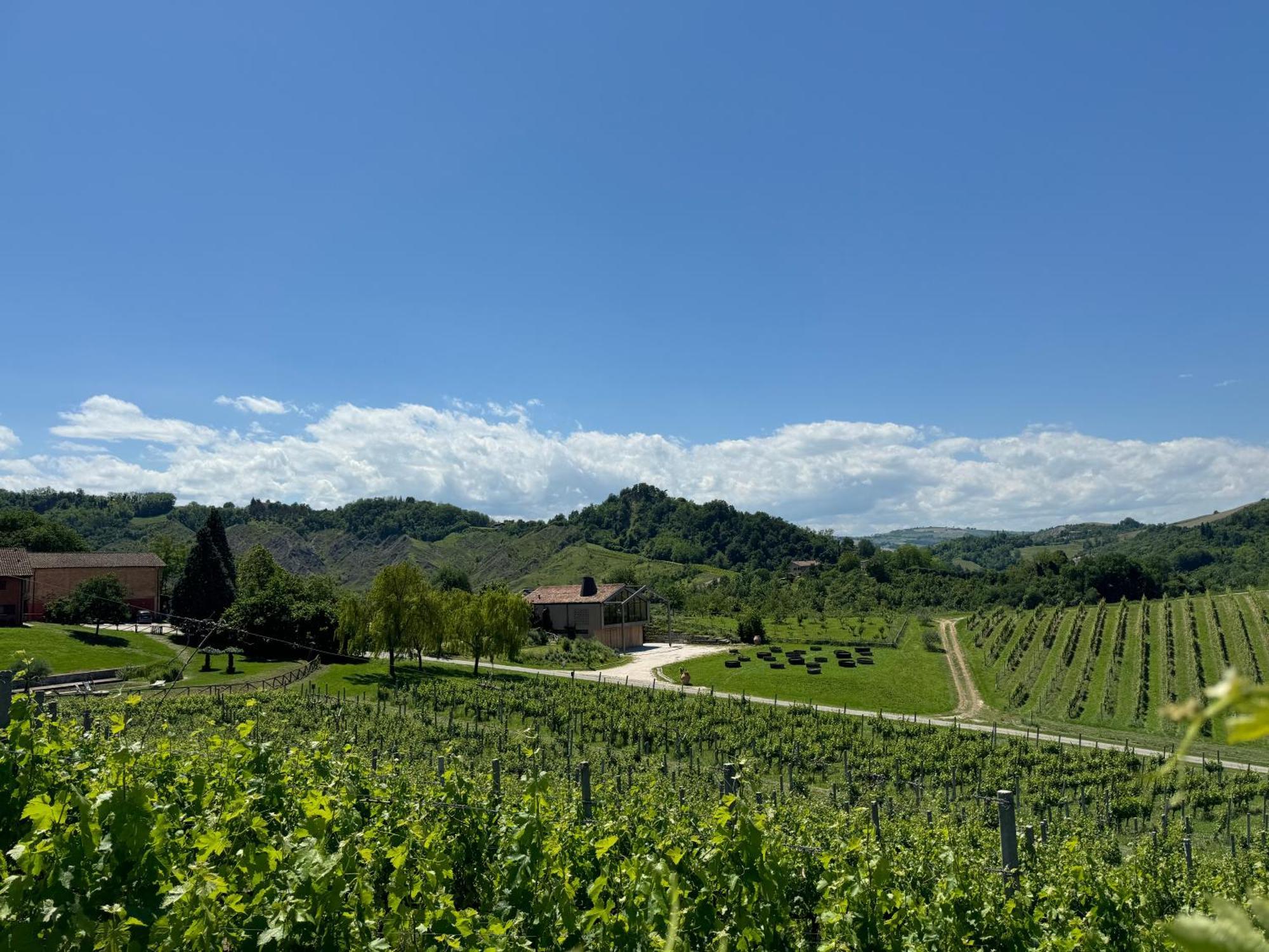 Monteveglio コルテ ダイボヴィラ エクステリア 写真